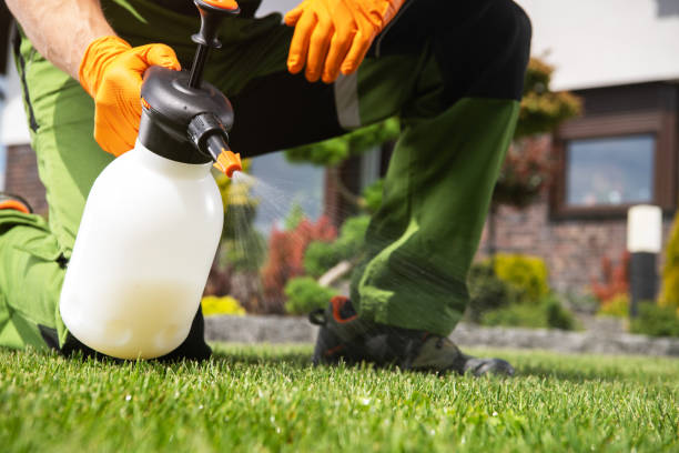 Pest Prevention Services in Iroquois Point, HI