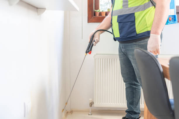 Best Ant Control Services  in Iroquois Point, HI